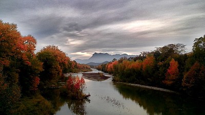 creation, river, fall, trees