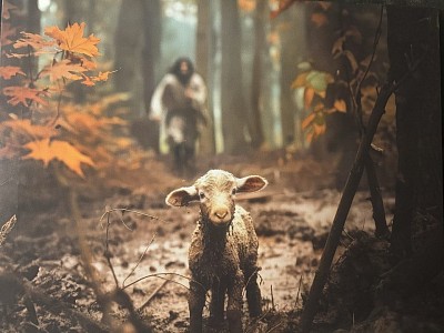 man passionately running after sheep