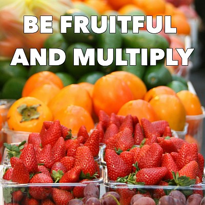 be fruitful and multiply