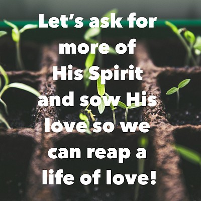 lets sow His love and reap a life of love