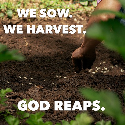 God blesses us with many ways to sow gospel seeds. At this point, we won’t know the type of soil we are sowing upon but we do know the Lord of the harvest knows how to prepare the soil. So let’s pray for people who will become good soil. I believe God is already tilling the soil, removing rocks and thorns.  Lk 10:2 He told them, “The harvest is plentiful, but the workers are few. Ask the Lord of the harvest, therefore, to send out workers into his harvest field.  We are God’s workers. We sow, we harvest, but God reaps, giving the increase. We love and obey God by sharing the Gospel as His Spirit empowers us!  1 Jn 5:14-15 This is the confidence we have in approaching God: that if we ask anything according to his will, he hears us. And if we know that he hears us–whatever we ask–we know that we have what we asked of him.  Let’s pray with confidence that God will use us to make disciples. God died so folks will be saved!